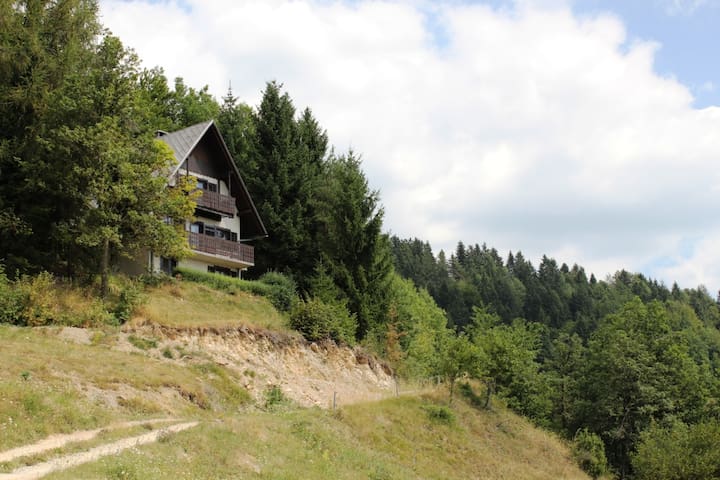 Amazing View Lonely Hut 