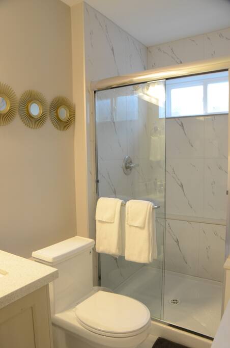 Main floor bathroom shower
