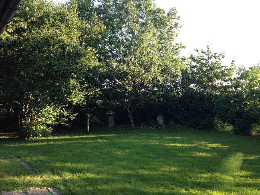 Large garden, not overlooked.