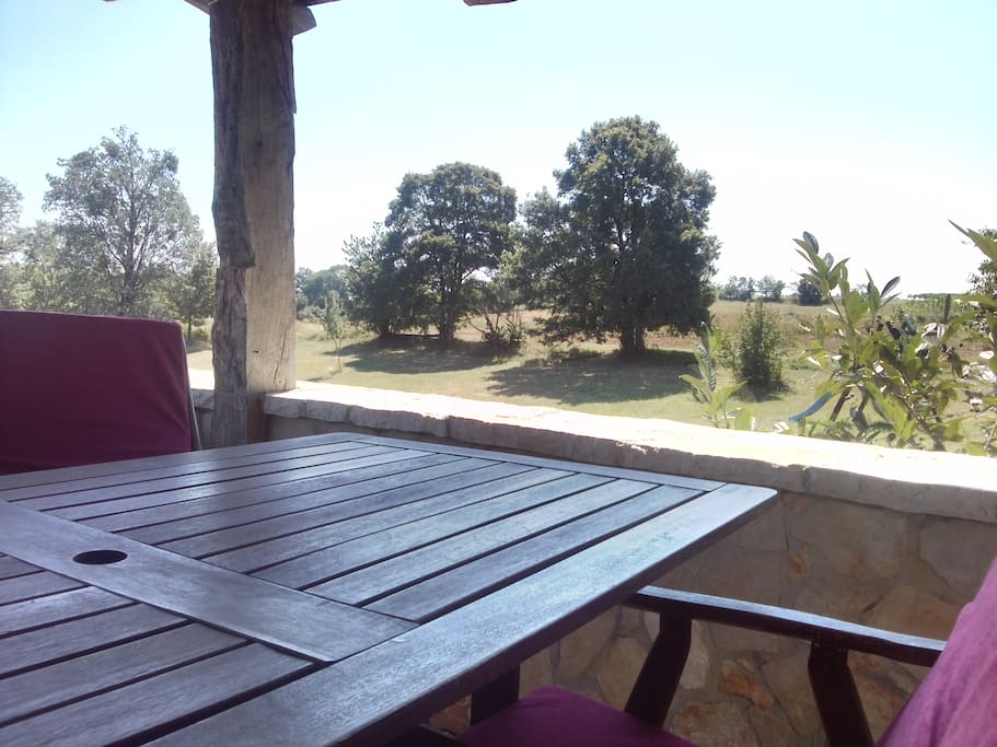 View from the terrace