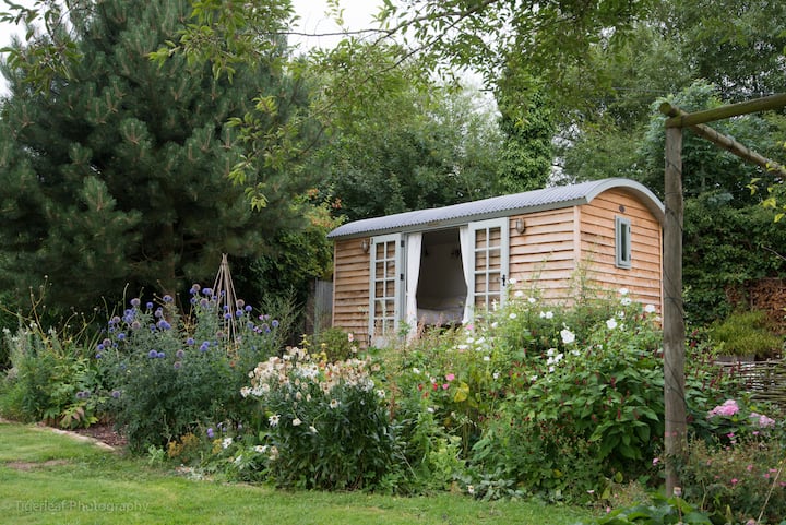 Delightful and Cosy Shepherds Hut