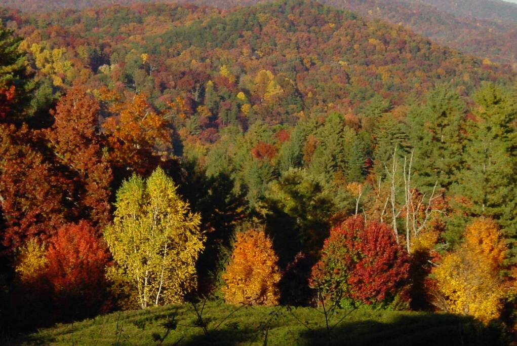 Fall's color from the mountain side walks.