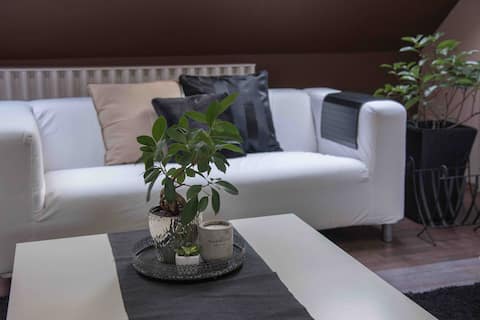 Popular Airbnb listing: Lake House apartment, idyllic vacation on 100m2 in Marcali