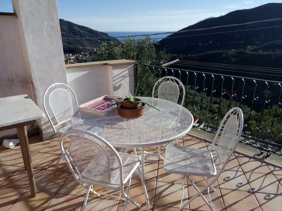 A terrace setting features a round metal table surrounded by four matching chairs. A potted plant is positioned at the center of the table. The backdrop displays rolling hills and a view of the sea, with olive groves visible in the distance.