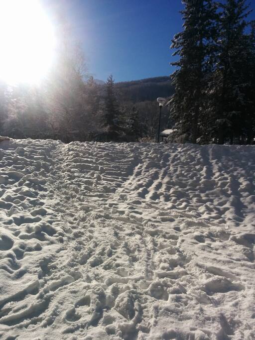 Jardin de la résidence en hiver