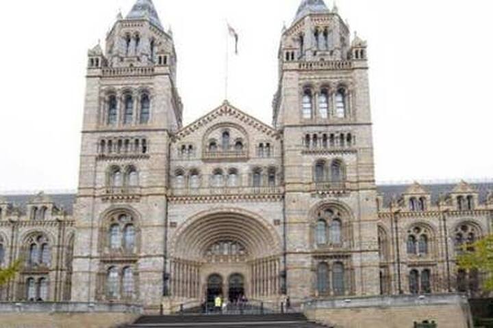 Clean, Modern 2 bed 2 bath gallery image 4