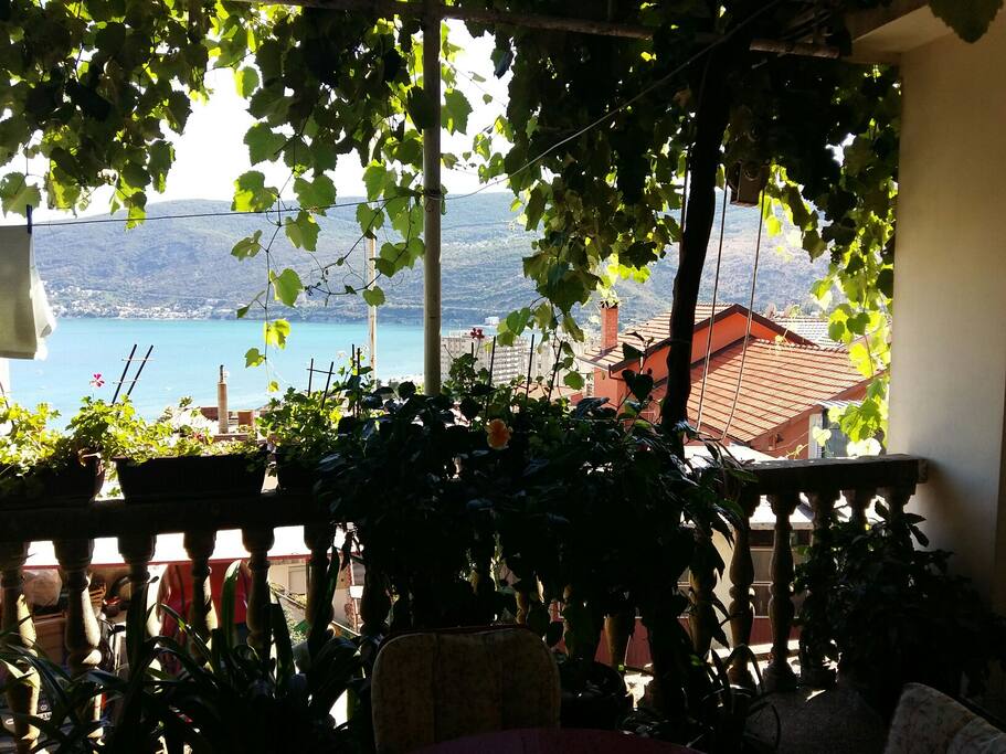terrace in front of the apartment