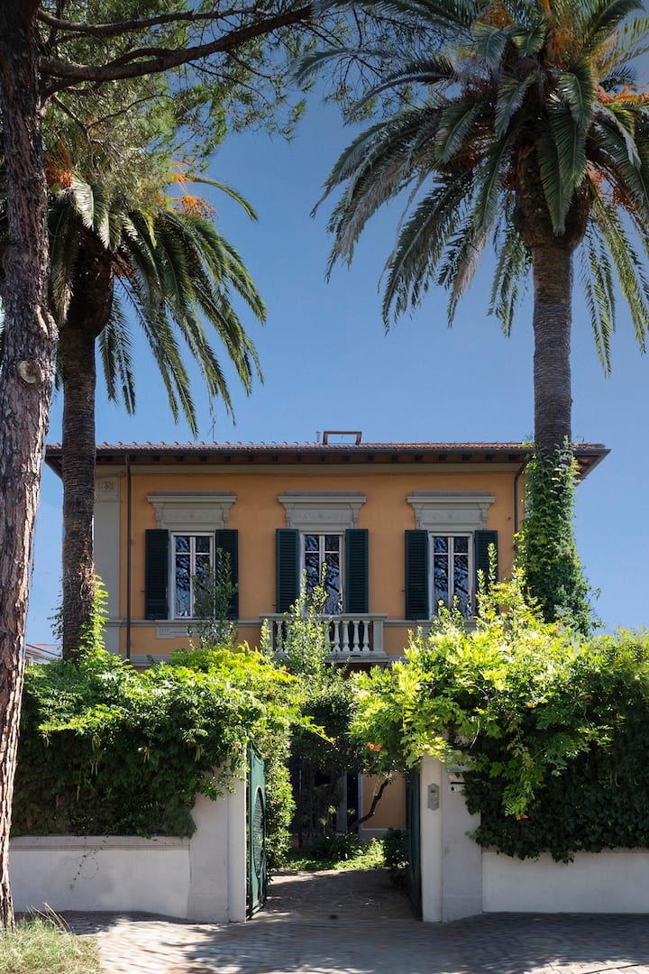 Central Spacious Flat in Villa Terrace Flat Apartments for Rent in