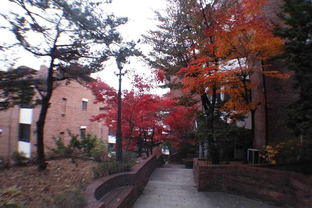 Outside The House