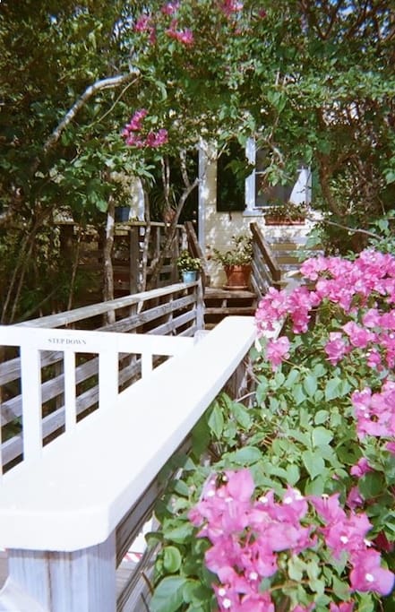 Walkway to Studio Cottage