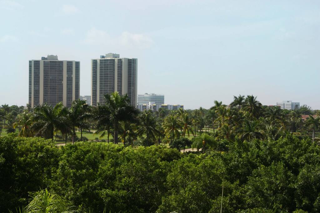 Golf View