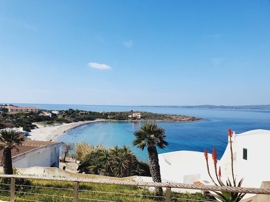 A coastal view reveals a sandy beach curving along crystal-clear waters, framed by lush greenery and palm trees. The scene showcases vibrant blue skies above, creating a serene atmosphere. In the distance, buildings dot the shoreline, enhancing the picturesque coastal landscape.