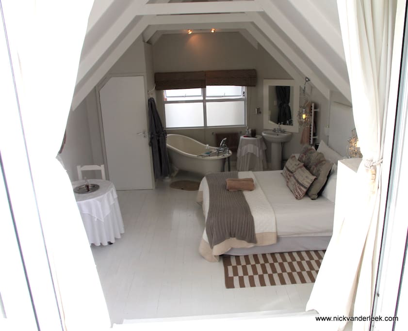 Whale tail Room