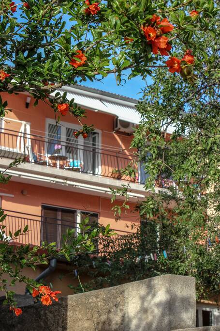 app -balcony and stunning sea view