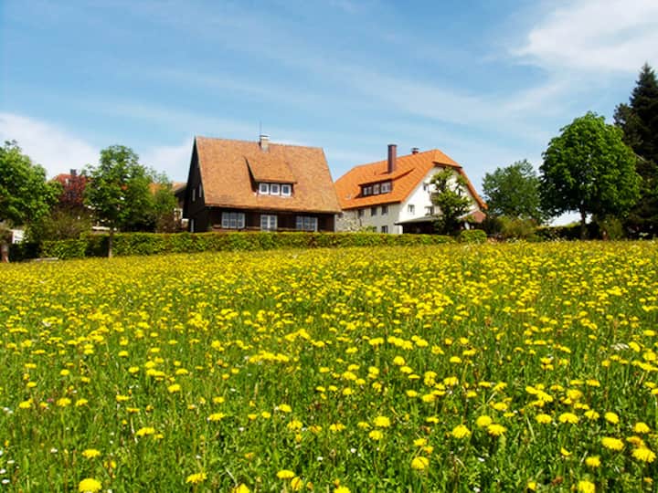 Traumhafter Fernblick - Stegen