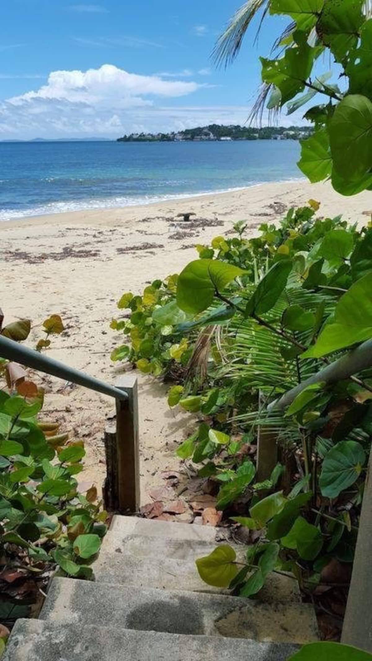 Concrete steps lead down to a sandy beach, framed by lush greenery. The shoreline features gentle waves lapping against the sand, under a clear blue sky with scattered clouds. A vibrant tropical landscape enhances the serene beach access.