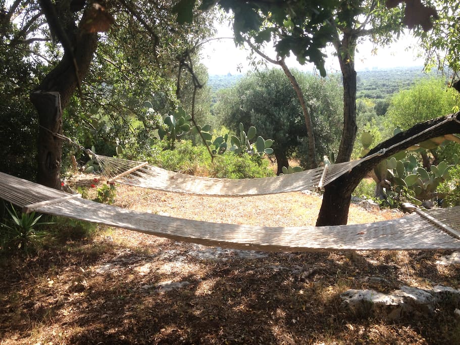 hammocks near heaven