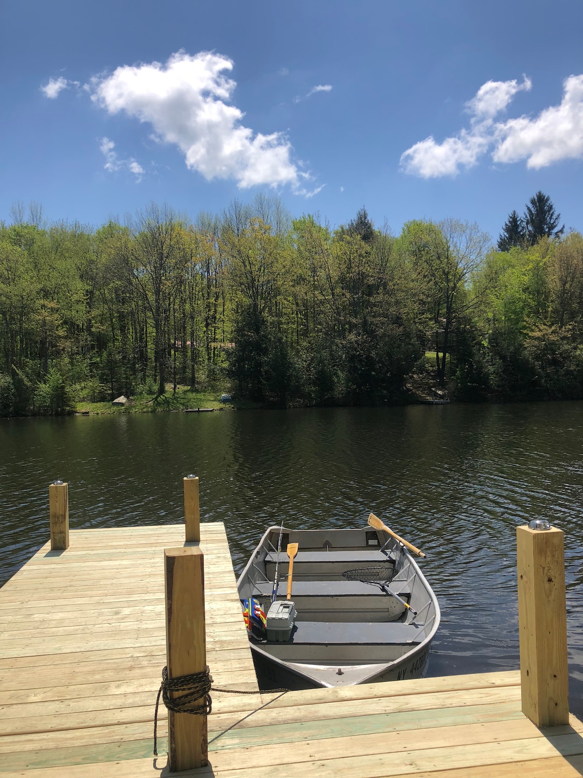 A wooden dock extends into a calm lake, featuring a small rowboat moored at the edge. Lush green trees surround the water, under a bright blue sky with scattered clouds. The serene setting offers a peaceful retreat into nature.