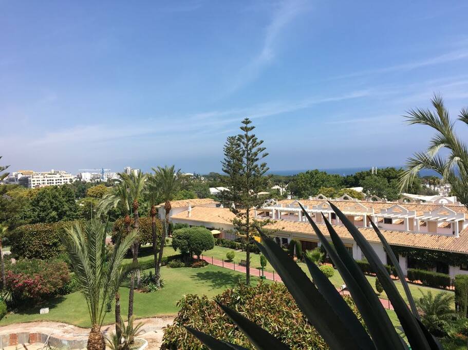 Panoramic views