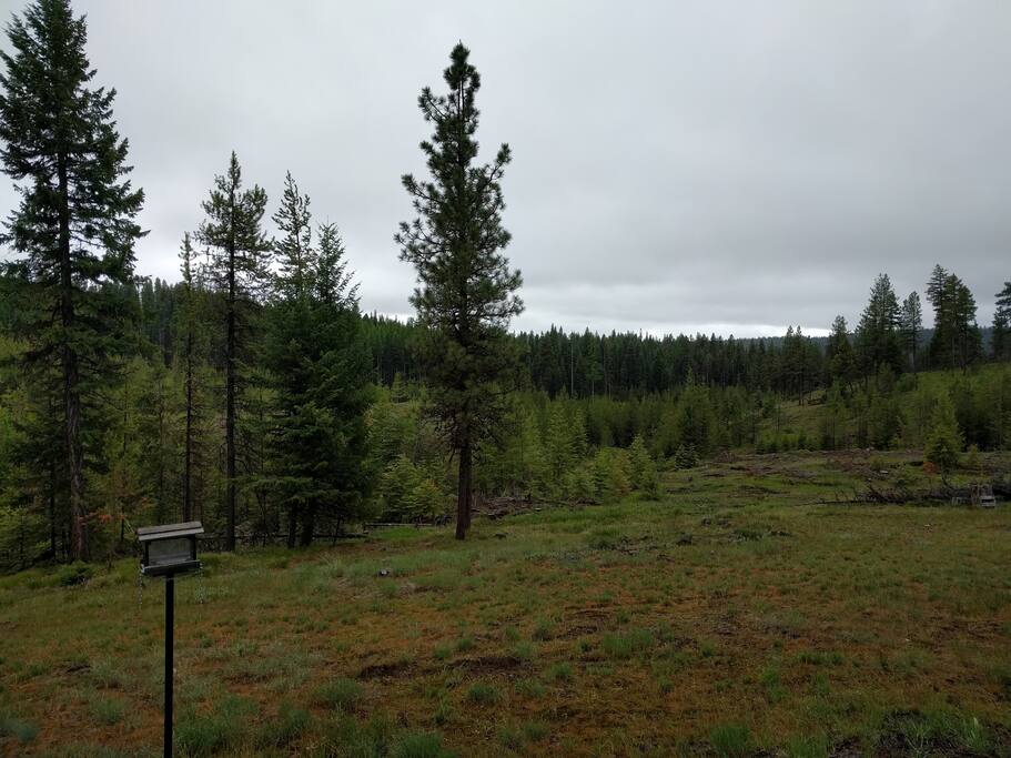 part of the view