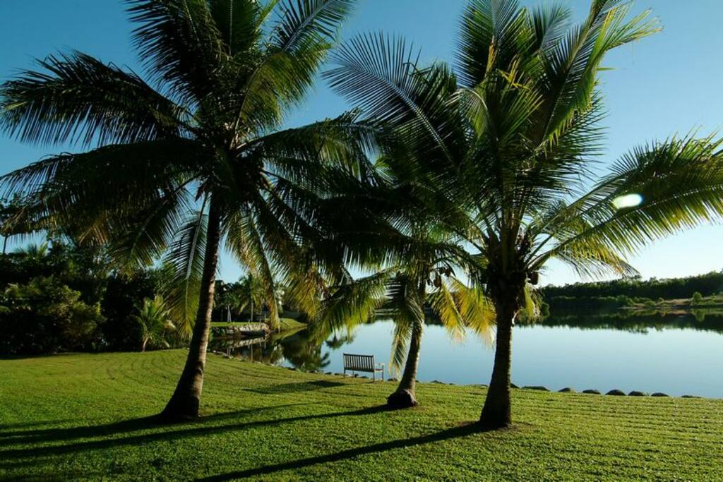 Lakeside lawn