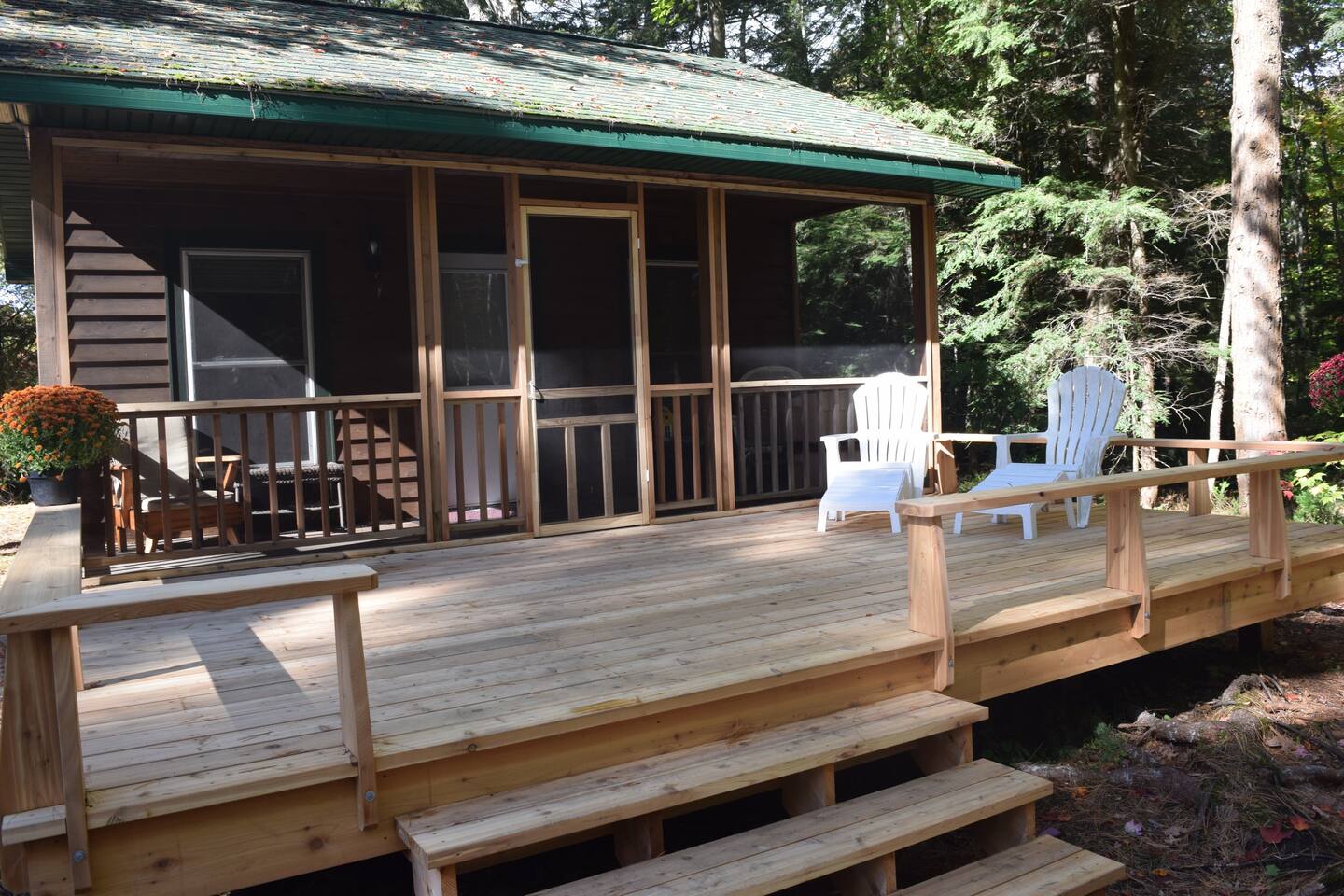 Cabin Medora Lake Bala Cabins For Rent In Bala