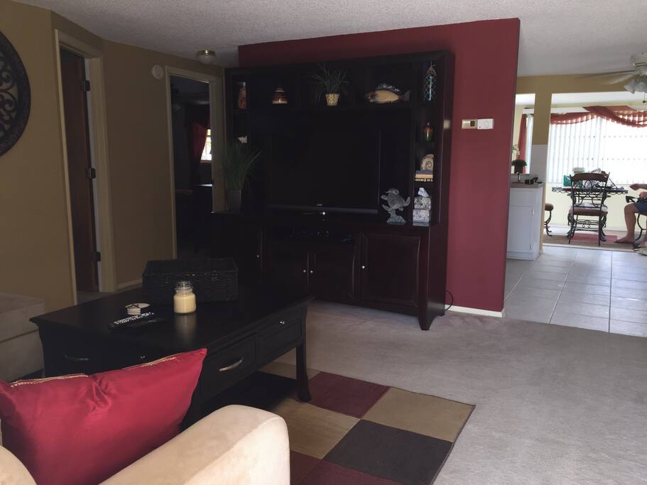 47” Television with Fios and WIFI