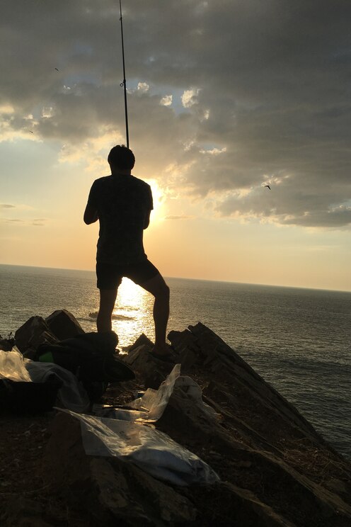 Show full-screen, host-provided image