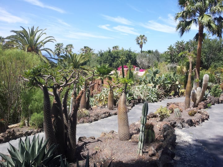 Cozy bungalow 5 minutes from the beach