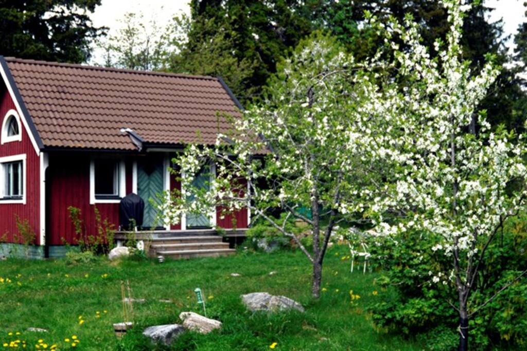 Gäststugan utifrån