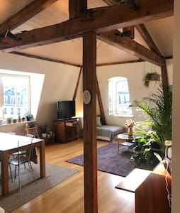 Charming top floor appartement City Center