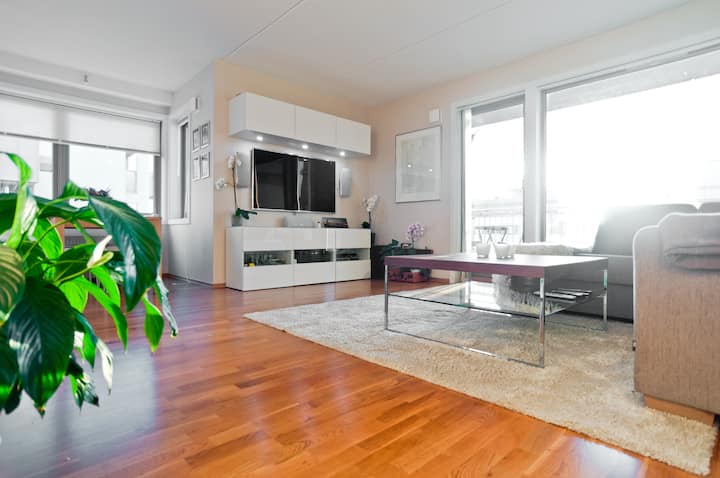 New Spacious Central 2br W/terrace - Oslo