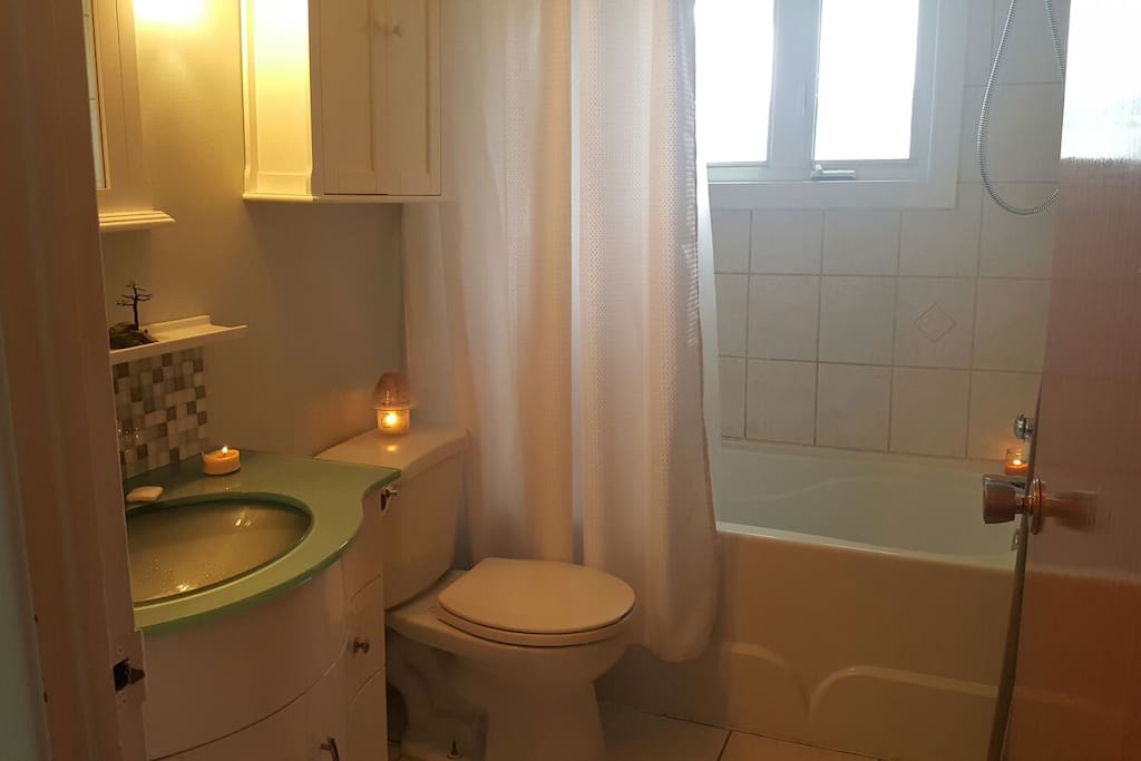 Main Floor Bathroom/ Toilette