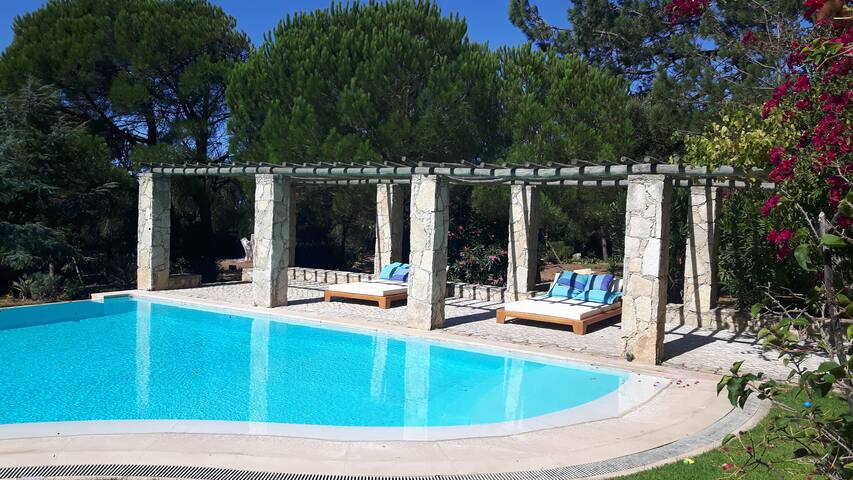 Villa Malveira gallery image 5