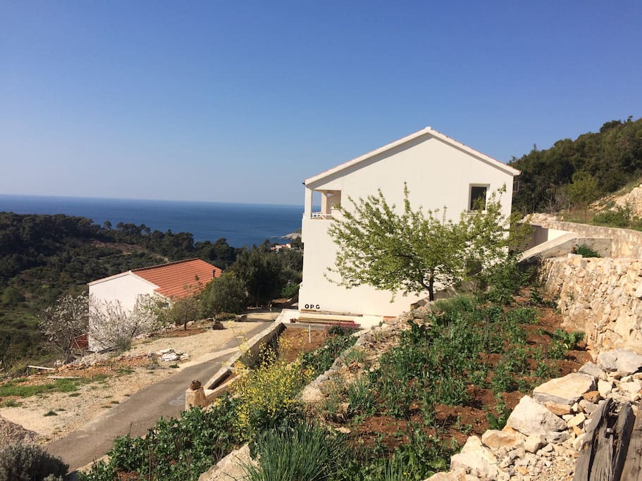 Our house is surrounded by gardens.
