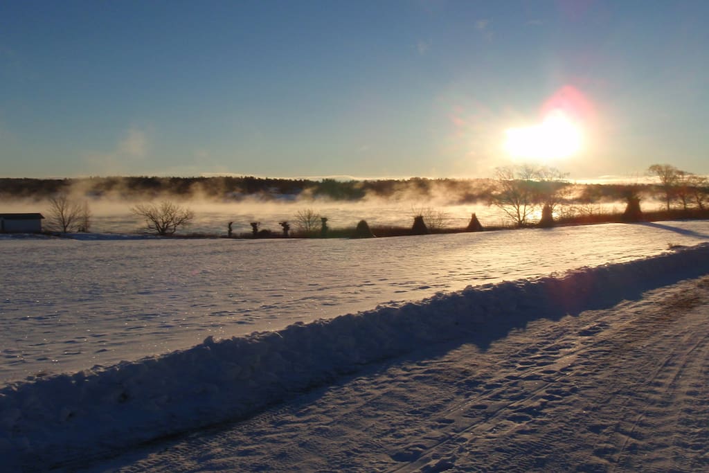 Vinter på Langø
