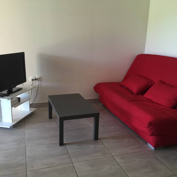 Salon avec télévision