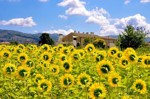A lovely farm home in Tuscany:Whole house
