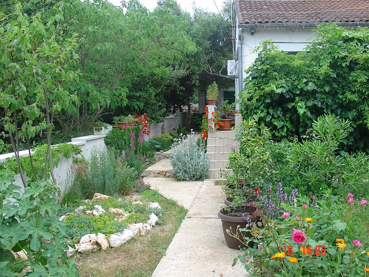 Zadar - Silba, cosy house
