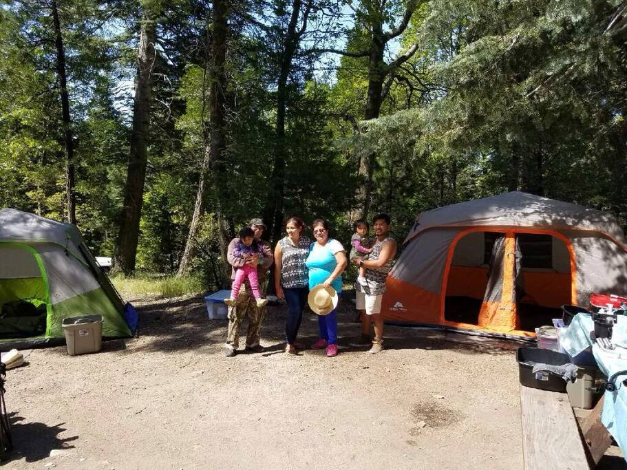 Our first booking!