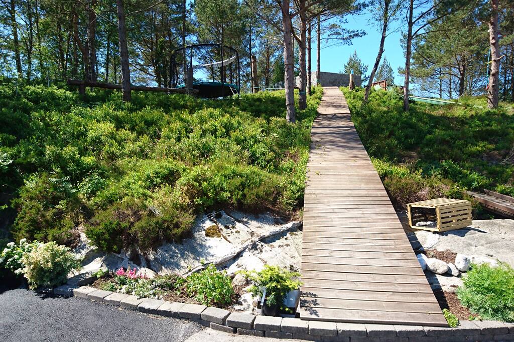 Stairs to upper terrace.
Small forrest for children to climb and play with a big trampoline.