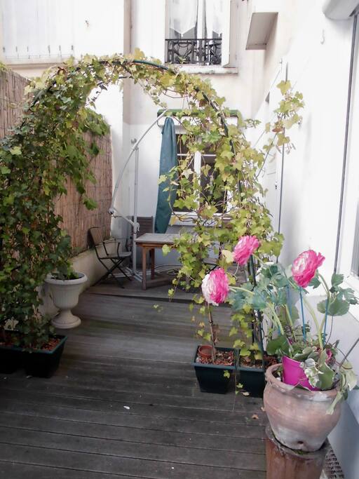 Patio extérieur privatif