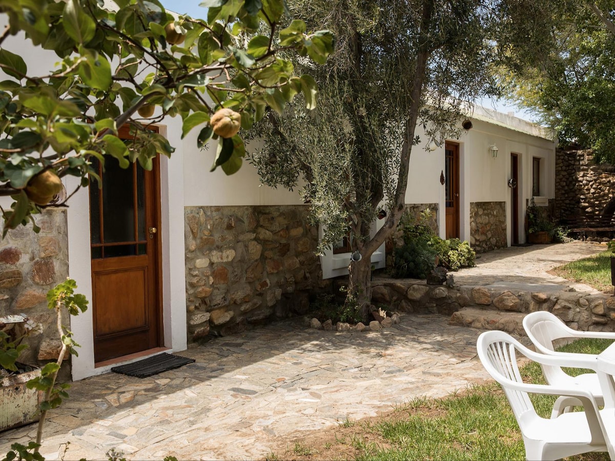 A stone pathway leads to the entrance of a cottage, flanked by greenery and a tree. Two white chairs are positioned on the grass area, providing an inviting space for relaxation. The exterior features a blend of stone and white walls, enhancing a natural ambiance.