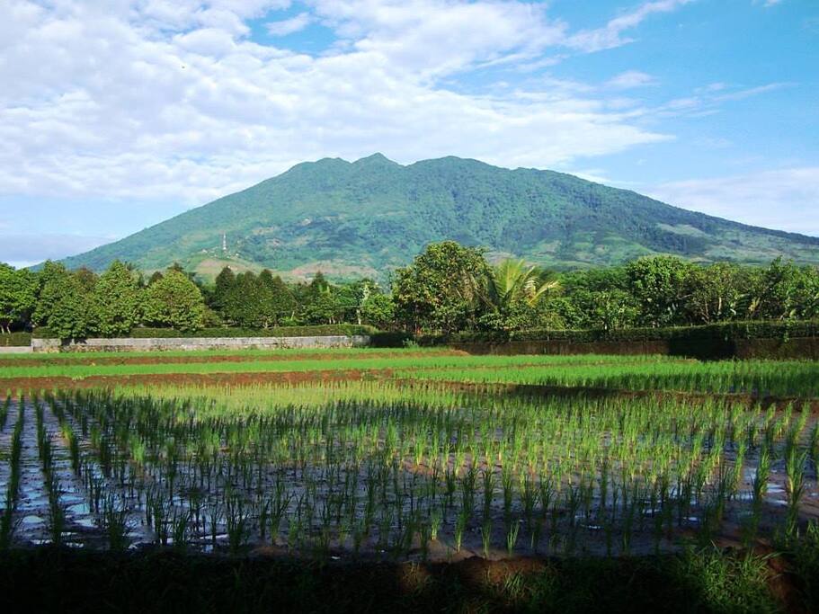 villa di Bogor selatan Villas for Rent in South Bogor, West Java, Indonesia villa di Bogor selatan Villas for Rent in South Bogor, West Java, Indonesia