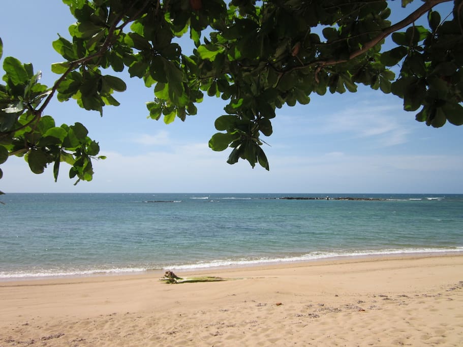 Private Beach Front