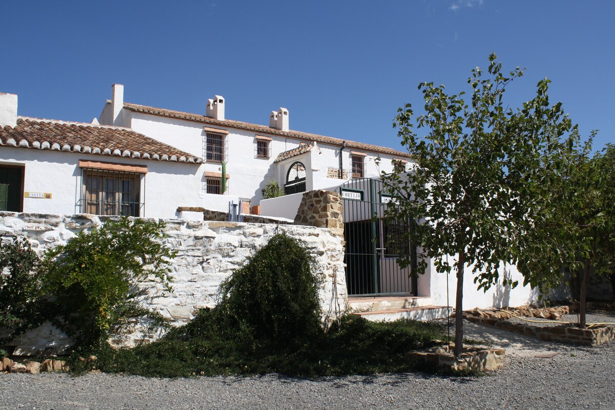 Cortijo la Solana Andalucía Farmhouse with pool - Farm stays for Rent in  Málaga, Andalusia, Spain - Airbnb
