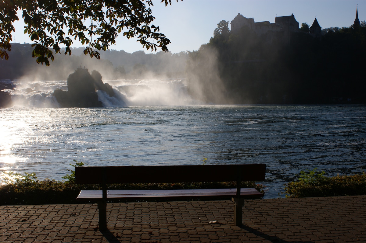 A wooden bench is positioned along the riverbank, facing the flowing waters of the Rhine. Mist rises from the cascading falls in the background, while the outline of a small castle can be seen atop a nearby hill. Lush greenery frames the scene.