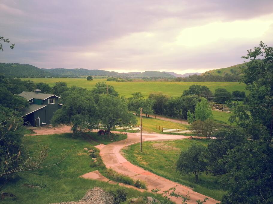 The Barn Area