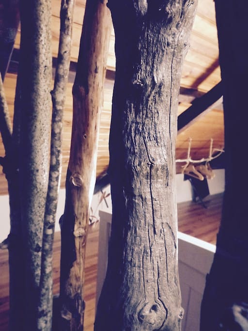 Tree Room