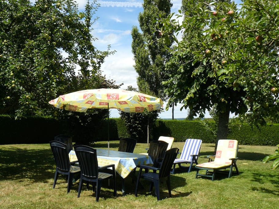 jardin arboré - salon de jardin - barbecue